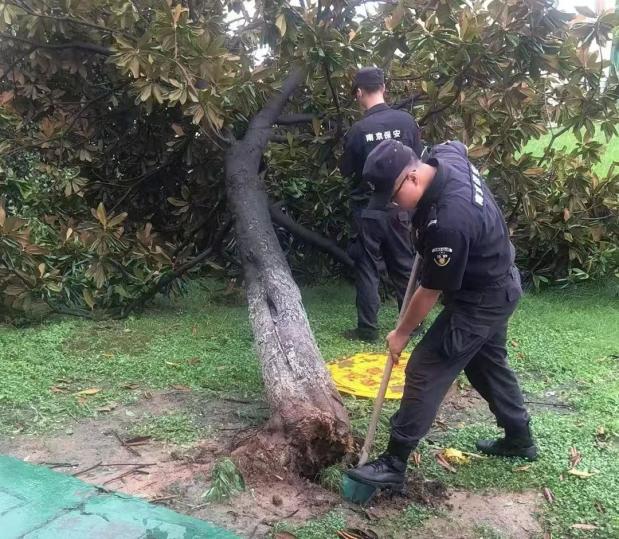 C:/Users/BA/Desktop/風(fēng)雨過后南京保安迅速行動，恢復(fù)安“寧”面貌/10.jpg10